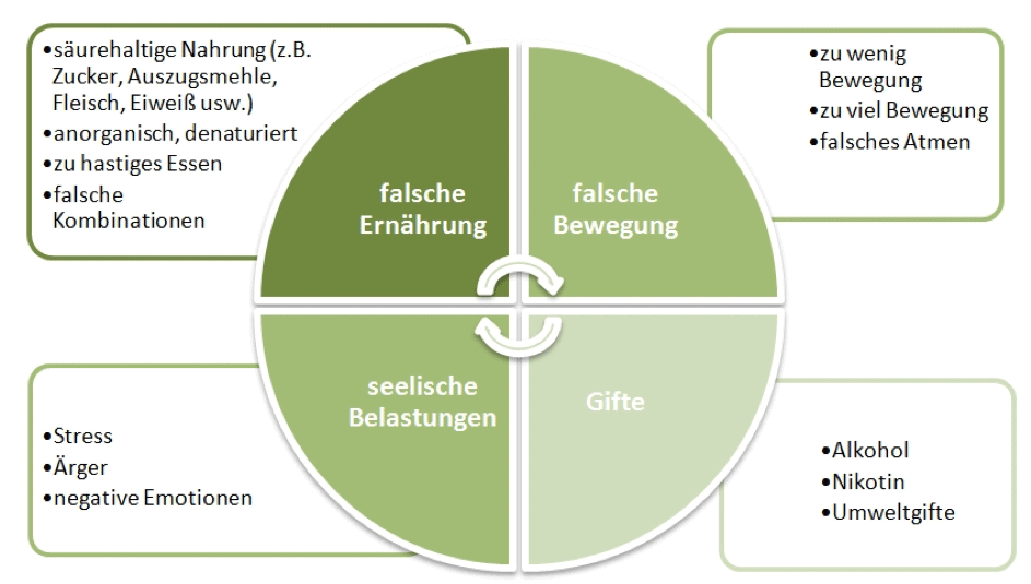 Grafik zum Säure-Basen-Haushalt